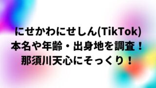 にせかわにせしん(TikTok)の本名や年齢・出身地を調査！那須川天心にそっくり！