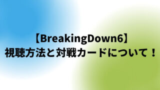 BreakingDown6(ブレイキングダウン)視聴方法と対戦カード！