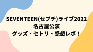 SEVENTEEN(セブチ)ライブ2022 名古屋公演 グッズ・セトリ・感想レポ