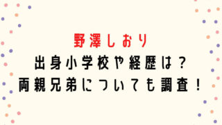 野澤しおりの小学校や経歴は？両親兄弟についても調査！