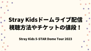 スキズ(Stray Kids)ライブ配信はどこで観れる？視聴方法やチケットの値段について