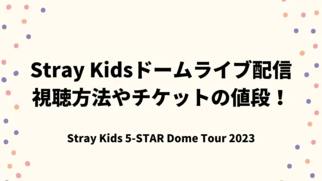 スキズ(Stray Kids)ライブ配信はどこで観れる？視聴方法やチケットの値段について