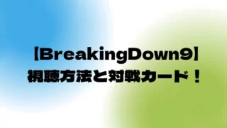 BreakingDown9(ブレイキングダウン)視聴方法と対戦カード！