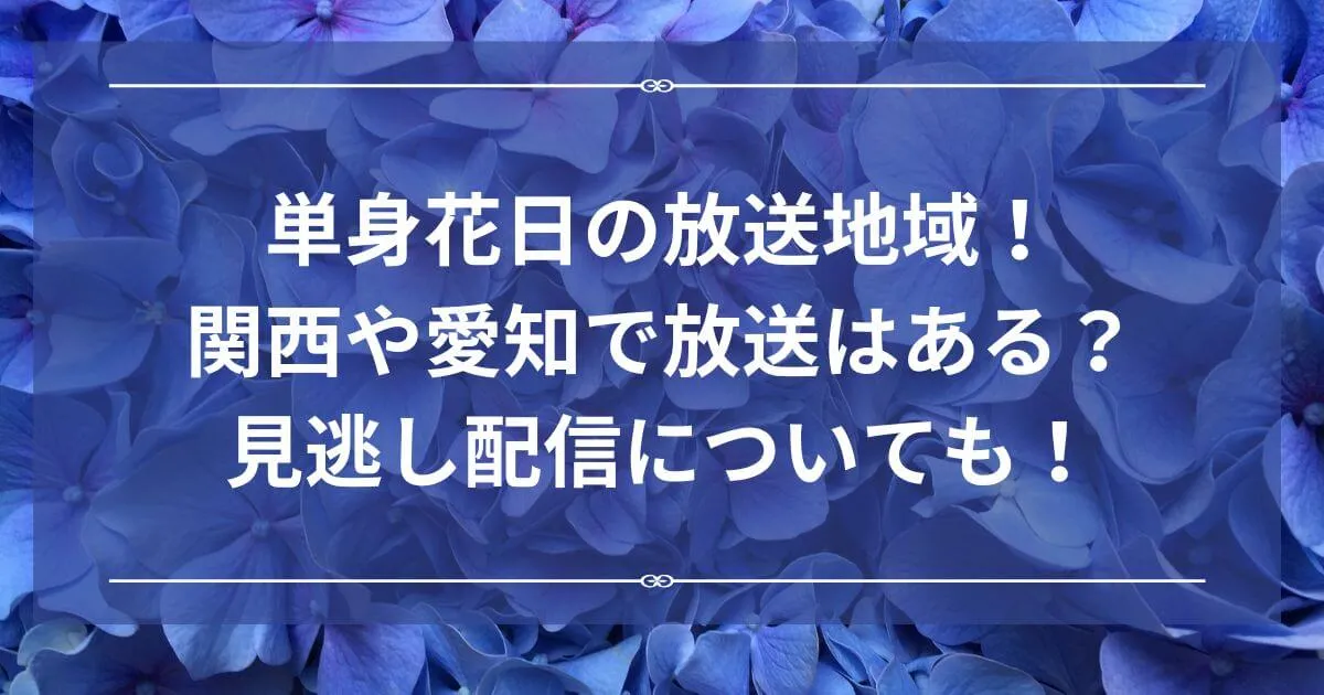 単身花日の放送地域！関西や愛知で放送はある？見逃し配信についても！